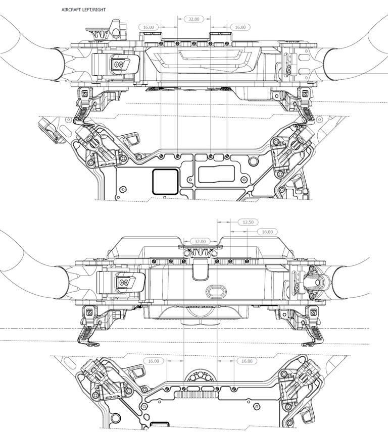 Figure_2_freefly_drawing